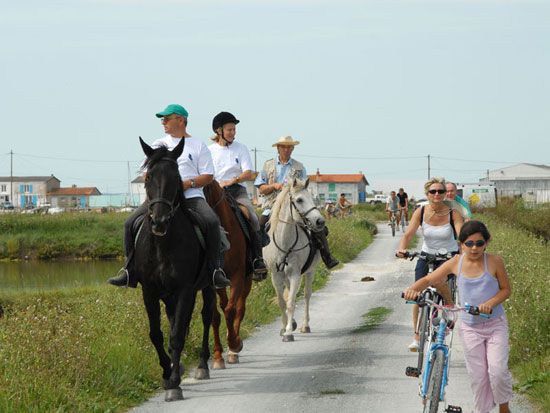 A cheval / Visuel : D.R.