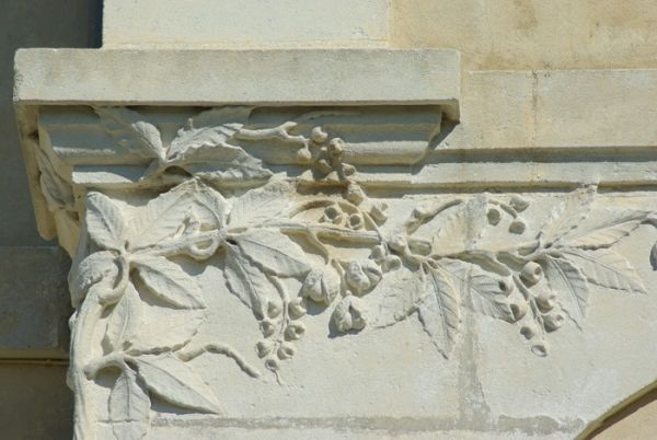 Allée-de-la-Lanterne-Coquelicot-IMGP4800 / cliché F. Chassebœuf