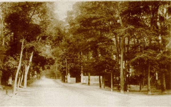 Avenue du parc 1940 / Visuel : D.R.