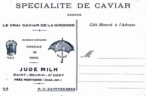 Visuel : D.R. Visuel : D.R.