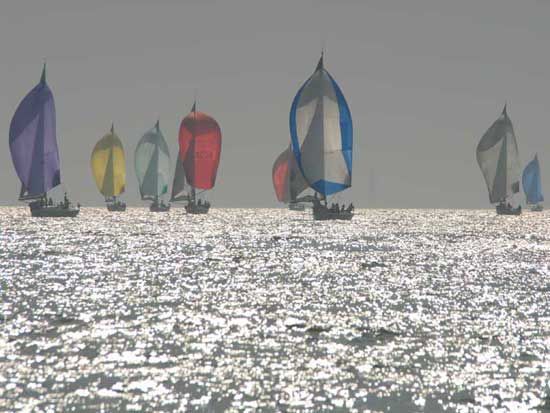 Challenge Voiles Entreprises / Photo : Didier Mauléon