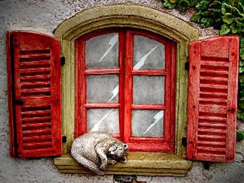 Chat à la fenêtre (2000) / Visuel : D.R.