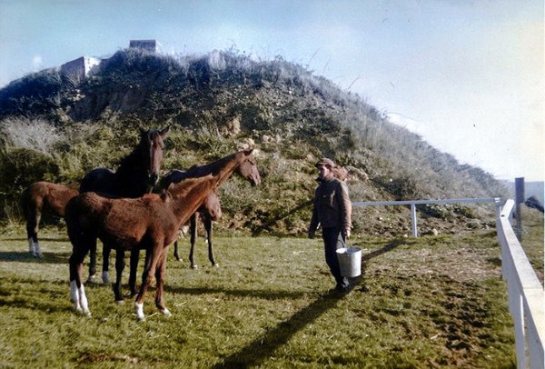 Le sport équestre à Royan・Historique de la société hippique. / coll. P. Bouchet
