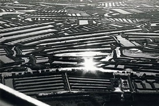 Claires dans l'île d'Oléron, 11 mais 1975 / Visuel : D.R.