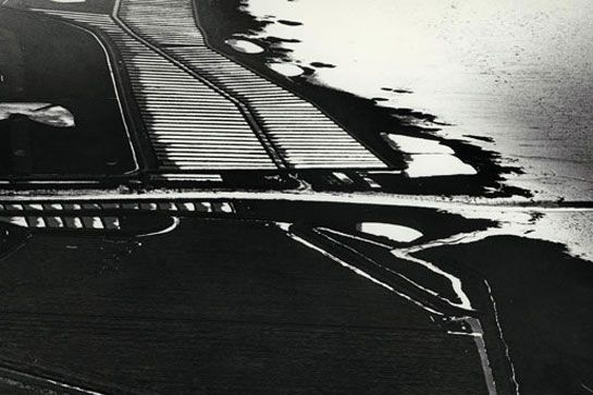 Claires de Marennes-Oléron, 26 octobre 1975 / Visuel : D.R.