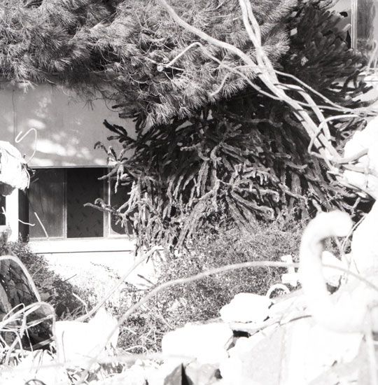 Destruction casino / Photo : A. Rodier