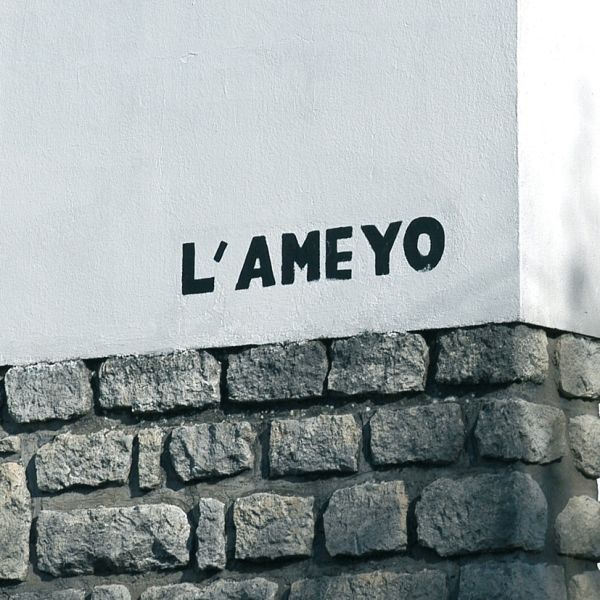 Villa L'Ameyo・Guide architectural 1950 / photo A.M. Préaut