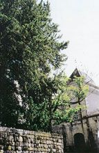 L'enclos et l'if centenaire au château d'Ardenne. / Photo. J. Daniel