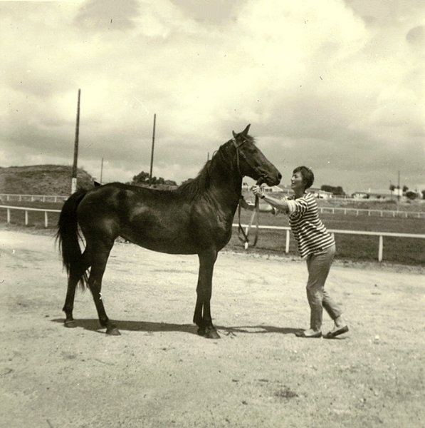 Le sport équestre à Royan・Historique de la société hippique. / coll. P. Bouchet