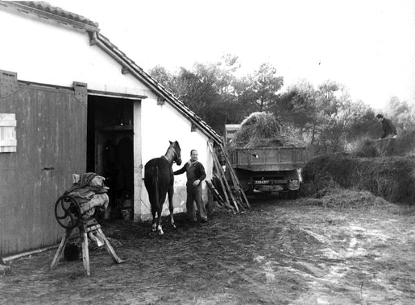 Le sport équestre à Royan・Historique de la société hippique. / coll. P. Bouchet