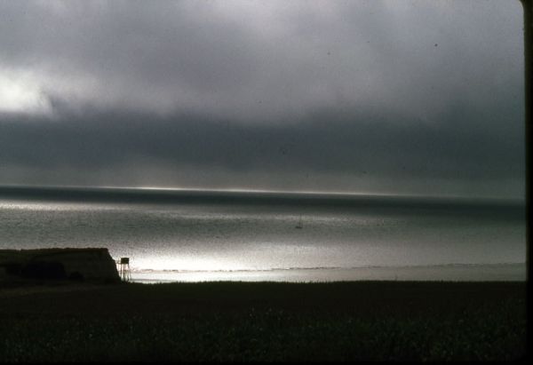 estuaire2 m.guillard / Visuel : D.R.
