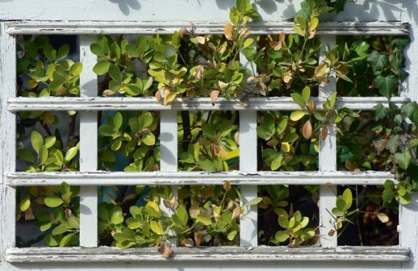 Villa Éveline・Guide architectural 1900 / cliché F. Chassebœuf