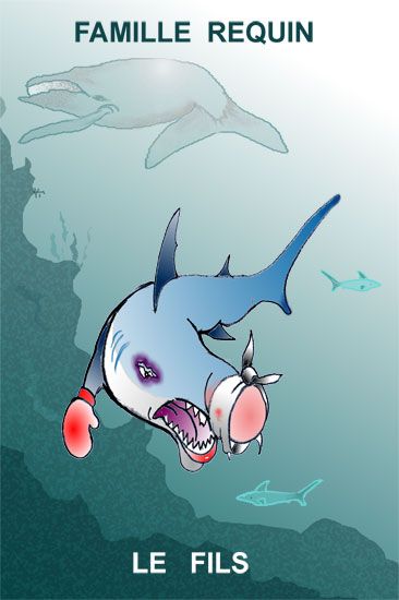 FILS-REQUIN / Visuel : D.R.