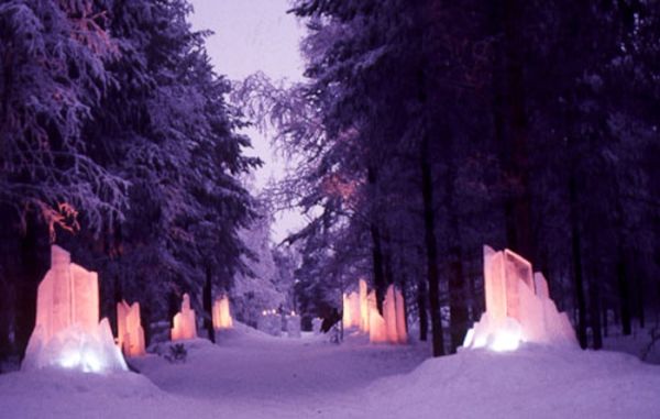 Foret illuminé / Visuel : D.R.