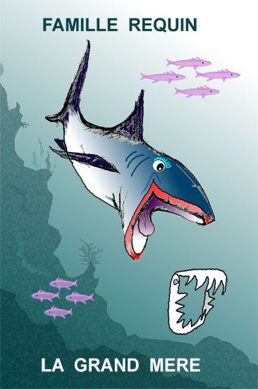 GRAND-MERE-REQUIN / Visuel : D.R.