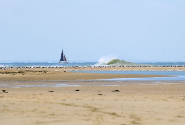 La Côte Sauvage / Visuel : D.R.