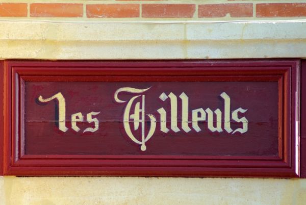 Villa les Tilleuls (av. Louise)・Guide architectural 1900 / cliché F. Chassebœuf