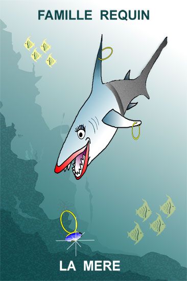 MERE-REQUIN / Visuel : D.R.