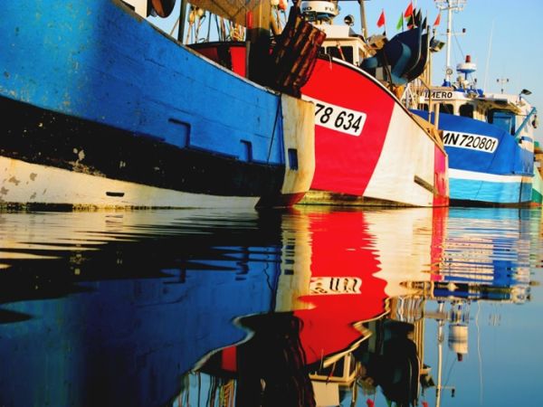 N. Gédovius Bateaux de pêche à Royan / Visuel : D.R.