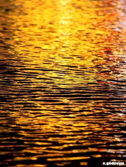 N. Gédovius Coucher de soleil / Visuel : D.R.