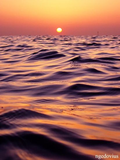 N. Gédovius Coucher de soleil / Visuel : D.R.