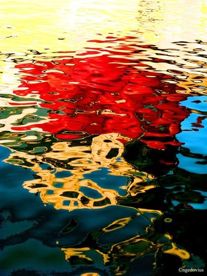 N. Gédovius Reflet / Visuel : D.R.