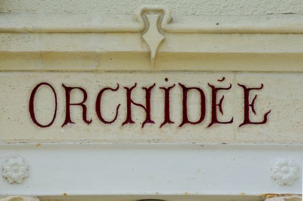Villa Orchidée・Guide architectural 1900 / cliché F. Chassebœuf
