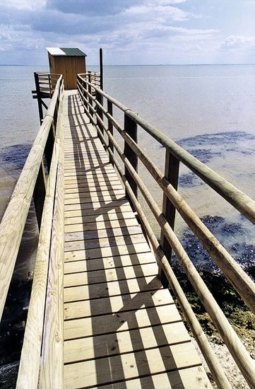 Passerelle menant au carrelet / Visuel : D.R.