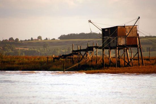 Pêche au maigre sur la Gironde / Visuel : D.R.