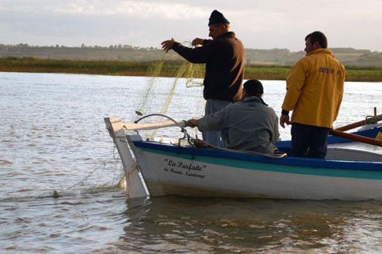 Pêche au maigre sur la Gironde / Visuel : D.R.