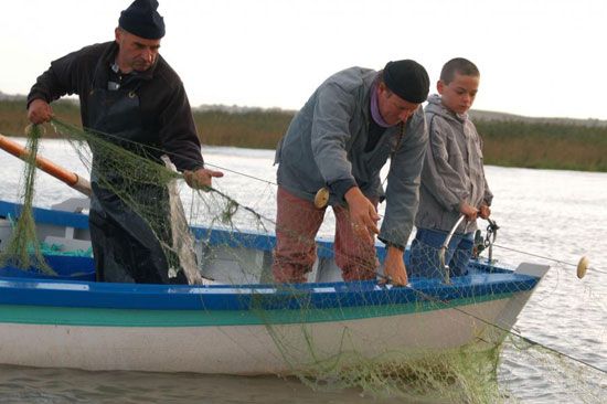 Pêche au maigre sur la Gironde / Visuel : D.R.