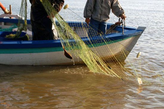 Pêche au maigre sur la Gironde / Visuel : D.R.