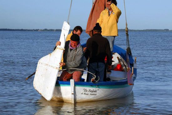 Pêche au maigre sur la Gironde / Visuel : D.R.