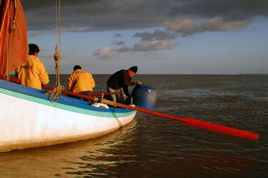Pêche au maigre sur la Gironde / Visuel : D.R.