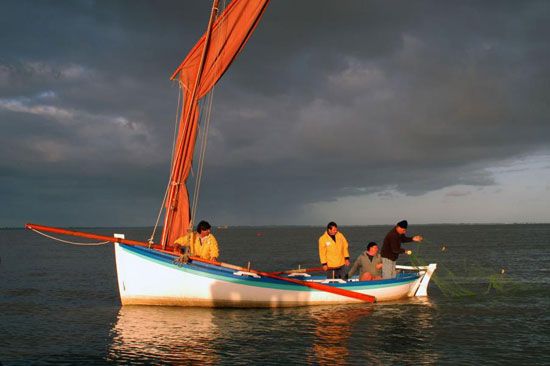 Pêche au maigre sur la Gironde / Visuel : D.R.