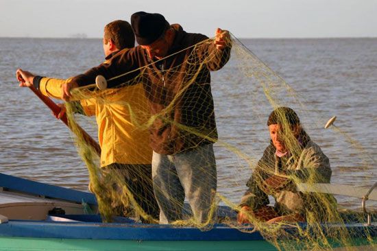 Pêche au maigre sur la Gironde / Visuel : D.R.