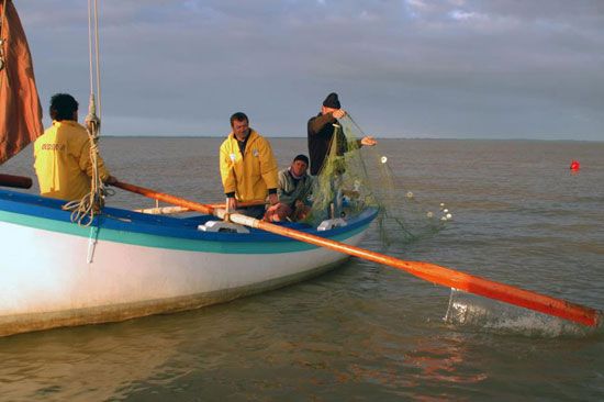 Pêche au maigre sur la Gironde / Visuel : D.R.