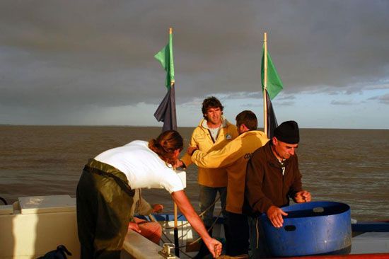 Pêche au maigre sur la Gironde / Visuel : D.R.