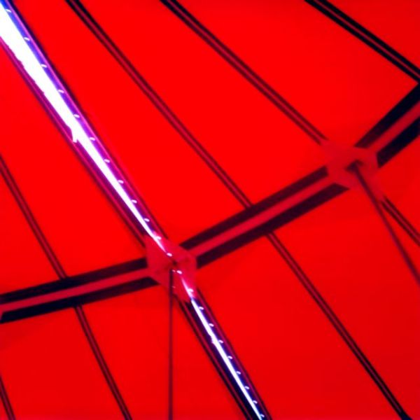 photographie de Jean-Frédéric Bourdier / Visuel : D.R.
