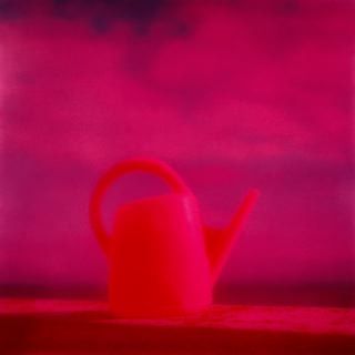 photographie de Jean-Frédéric Bourdier / Visuel : D.R.