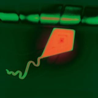 photographie de Jean-Frédéric Bourdier / Visuel : D.R.