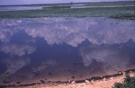 Reflets à 20 km de Phnom Phen / Visuel : D.R.