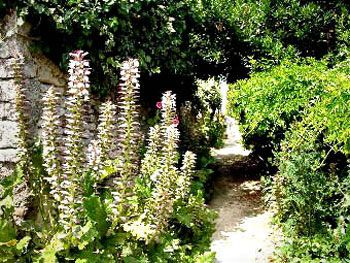 Ruelle de Talmont (2000) / Visuel : D.R.