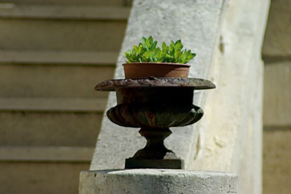 Villa Saint-Cloud (anciennement Marguerite)・Guide architectural 1900 / cliché F. Chassebœuf
