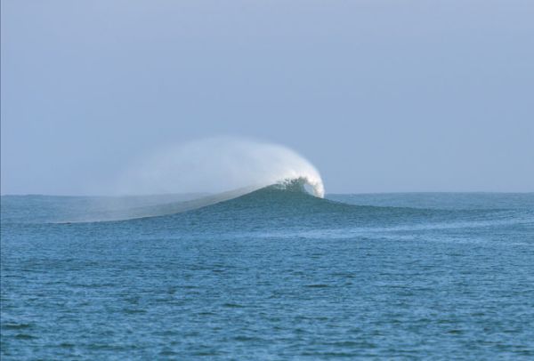 Session boat trip / Visuel : D.R.