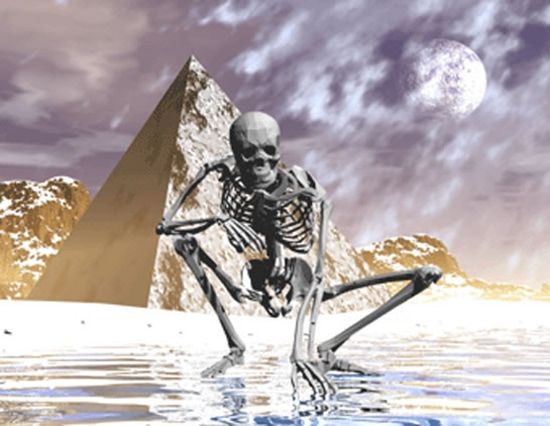 Squelette au claire de lune / Visuel : D.R.
