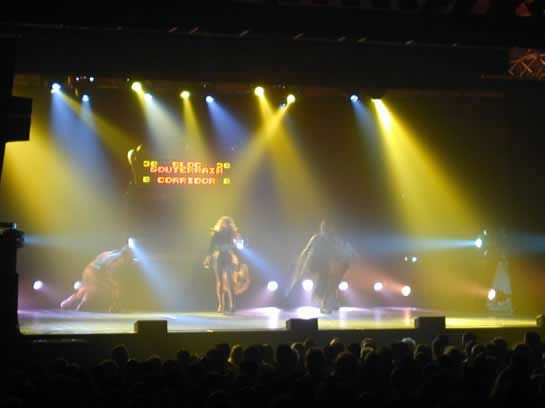 Starmania / Visuel : D.R.