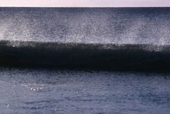 L'âge d'or・Surf dans les années 70-80 / Visuel : D.R.