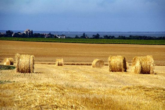Talmont-sur-Gironde _ vue des terres / Visuel : D.R.