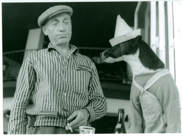 Une vie de chien! / Visuel : D.R.